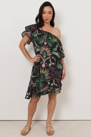 Havana Off Shoulder Frill Dress (Print)